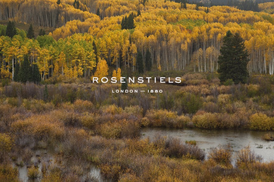 Kebler Autumn Rain - Michael Greene
