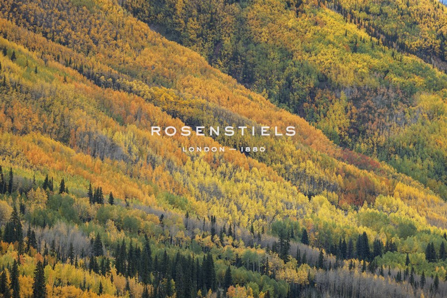 Red Mountain Pass - Michael Greene