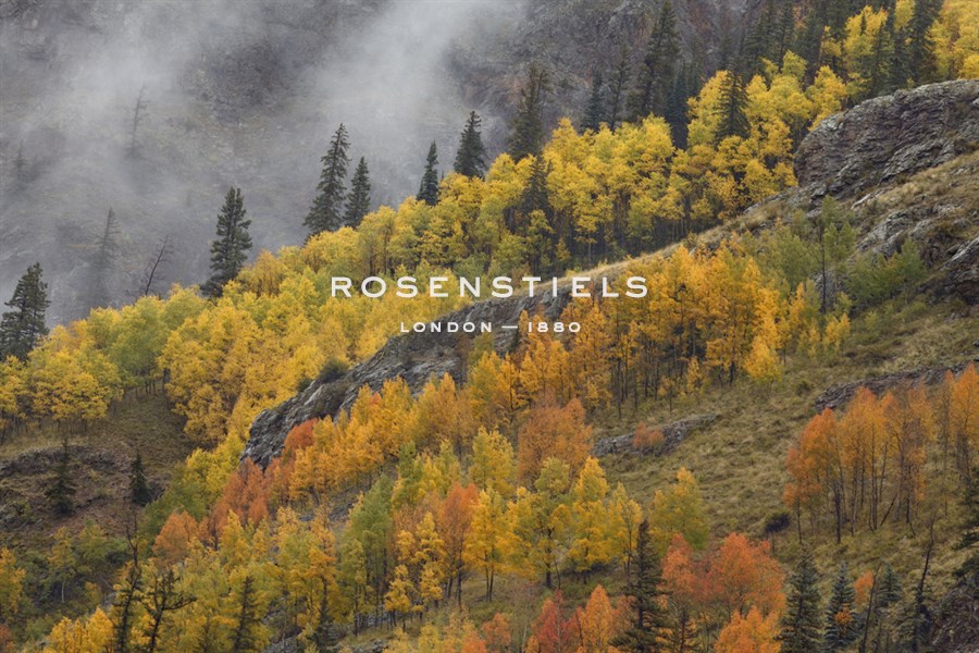 The Rising - Michael Greene