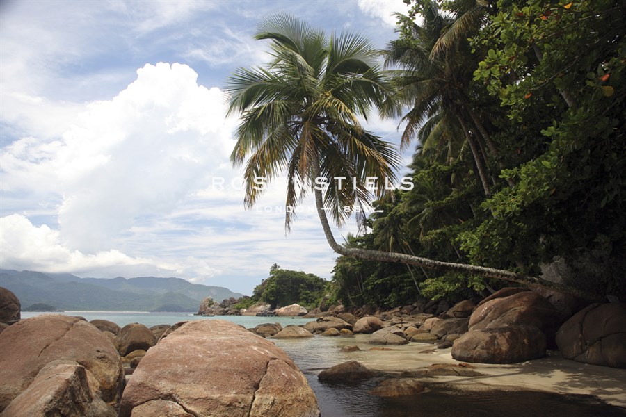 Tropical Bay I - Tony Koukos