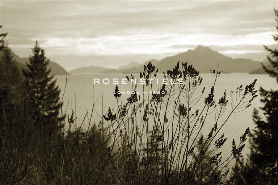 Peaceful View - Tony Koukos