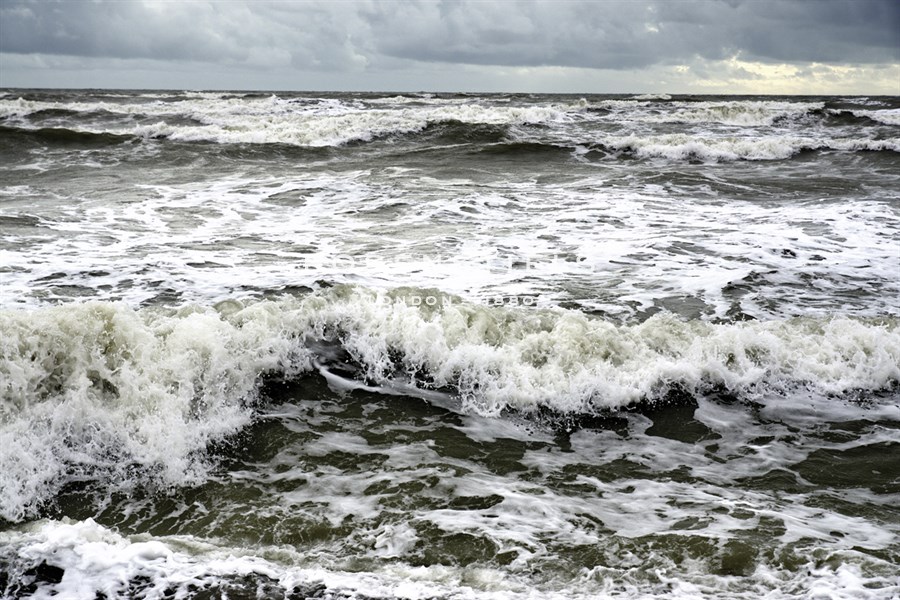 Wave - Bernard Webb