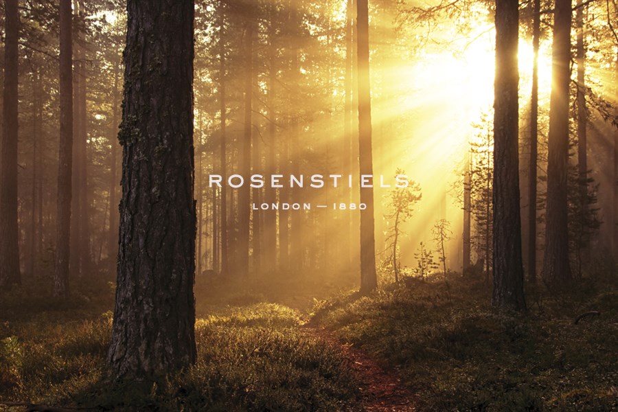 Misty Morning III - Andreas Stridsberg