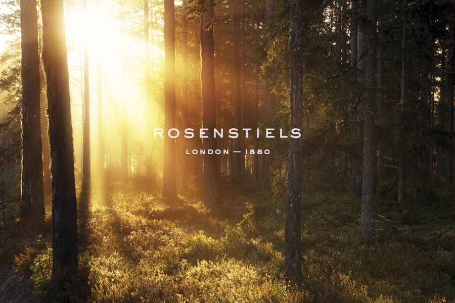Misty Morning IV - Andreas Stridsberg