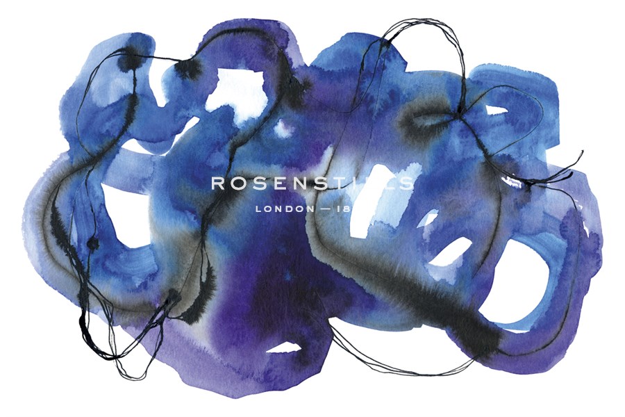 Blueberry Monster - Kim Colthurst Johnson