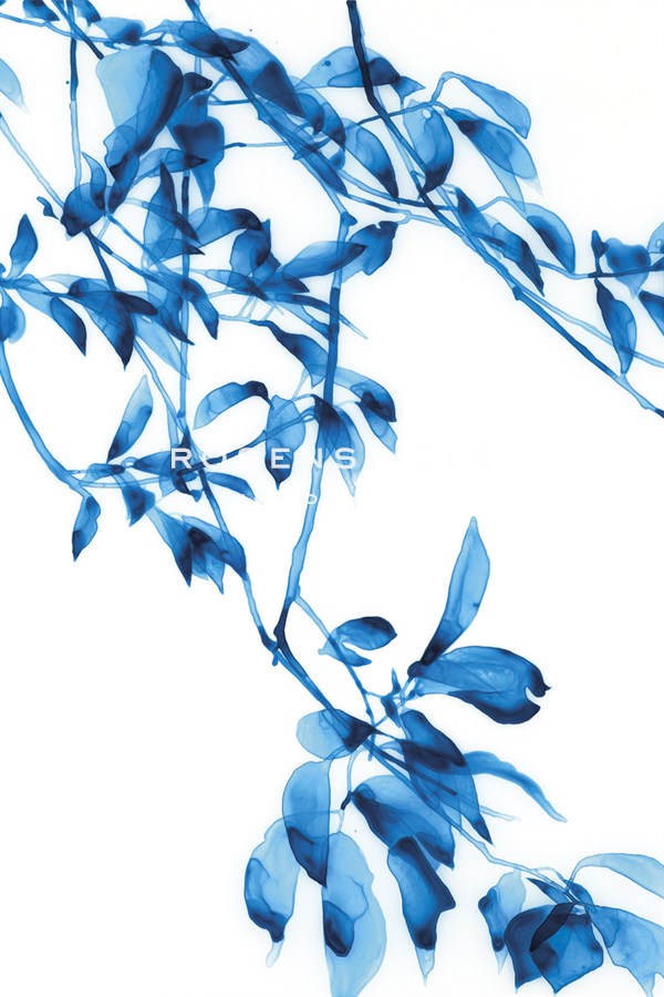 Pendent II - Jackie Battenfield