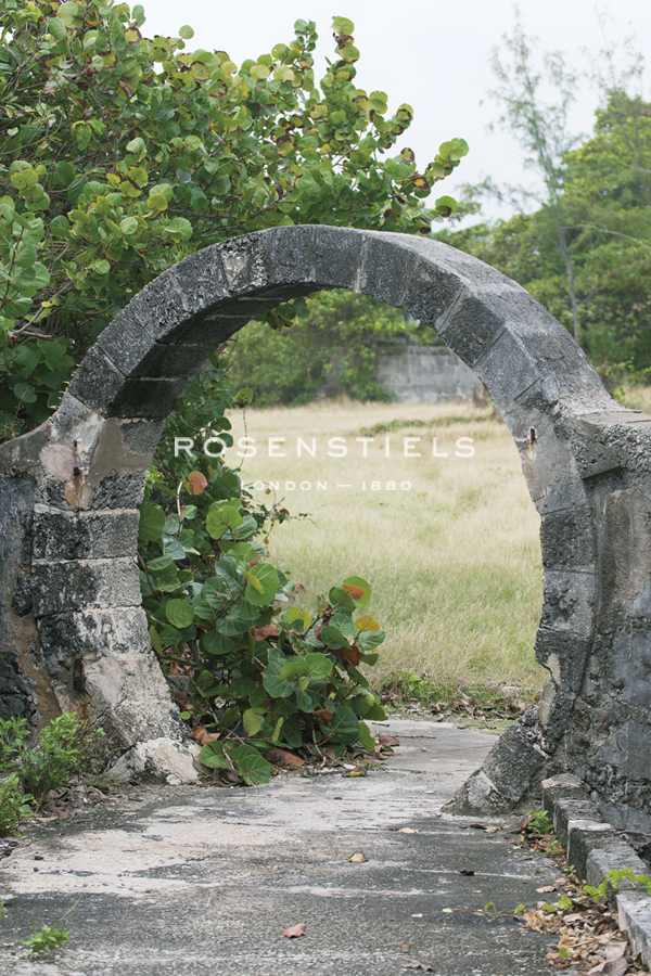 Tropical Type O - Archway - Mike Toy