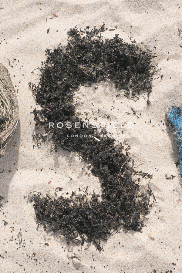 Tropical Type S - Beach - Mike Toy