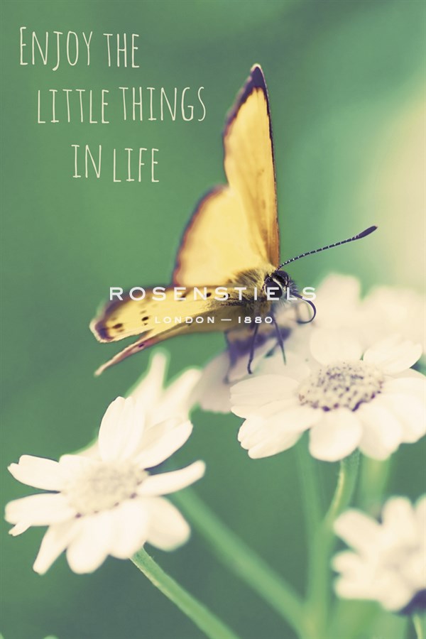 Enjoy the Little Things - Andreas Stridsberg