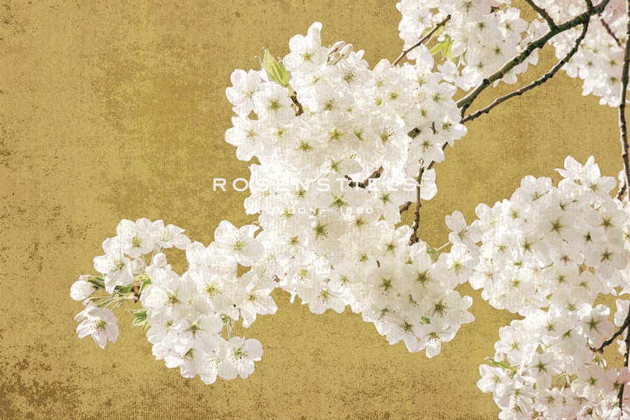 Brilliant Blossom - Ella Lancaster
