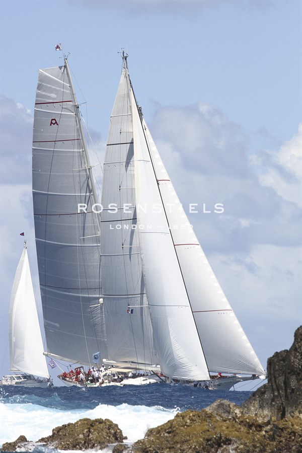 Noble Sail - Ingrid Abery