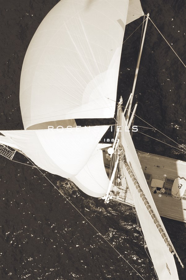 Full Sail I - Ingrid Abery