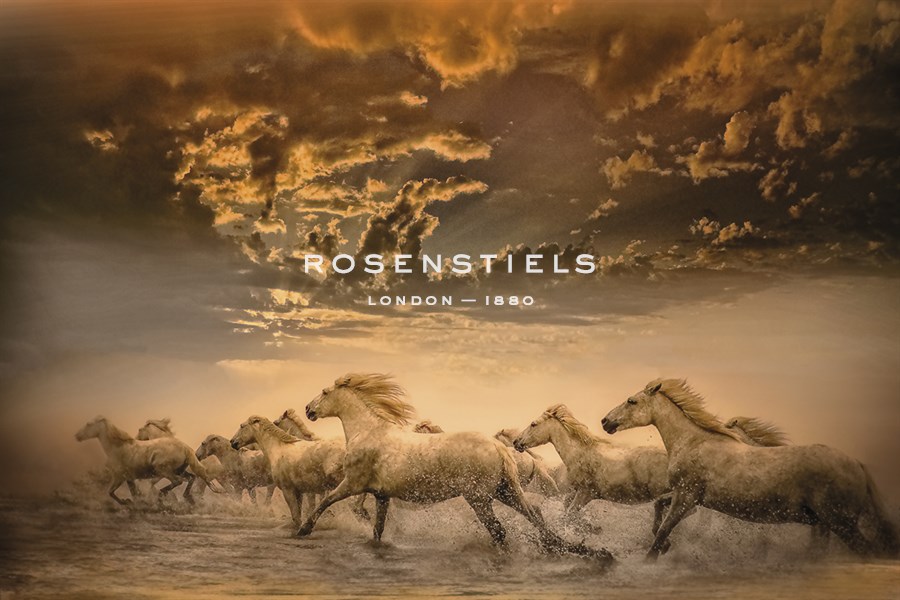 Flying Manes - Bobbie Goodrich