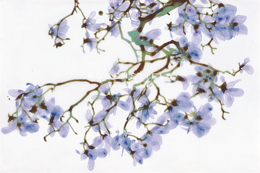 Pale Azure - Jackie Battenfield
