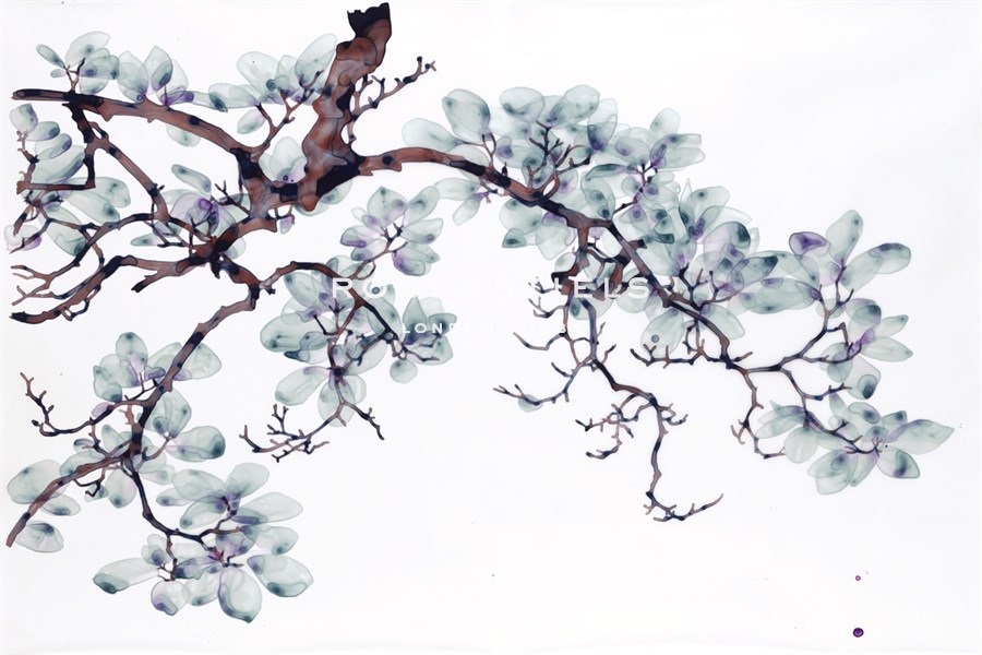 Magnolia - Jackie Battenfield