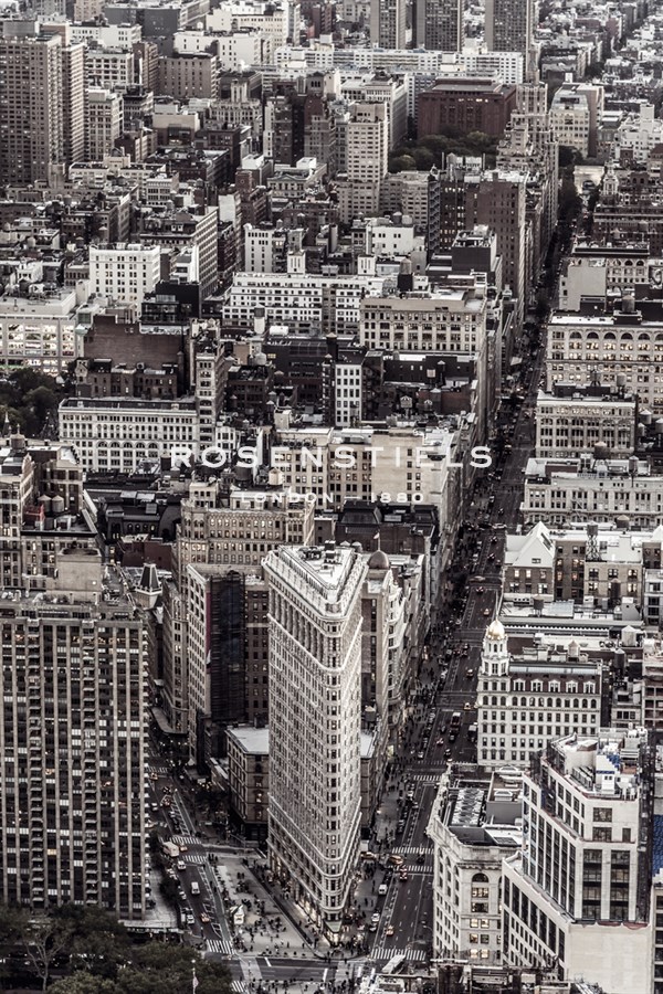 City Focus III - Alan Copson