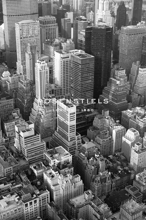 City Dreams II - Ella Lancaster