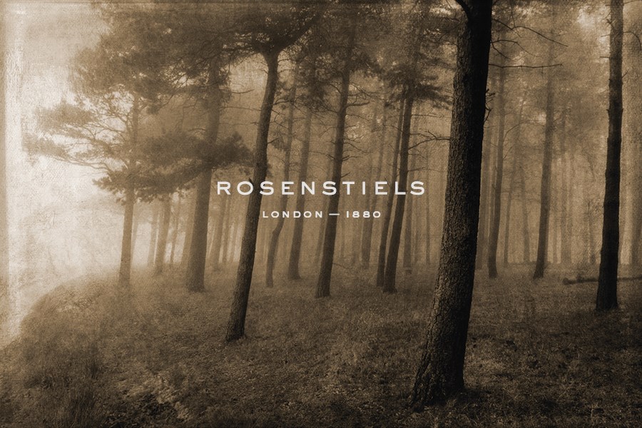 Ethereal Woodland - Pete Kelly