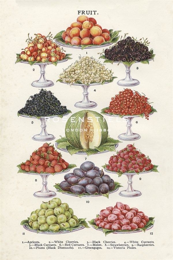Vintage Fruit - The Vintage Collection