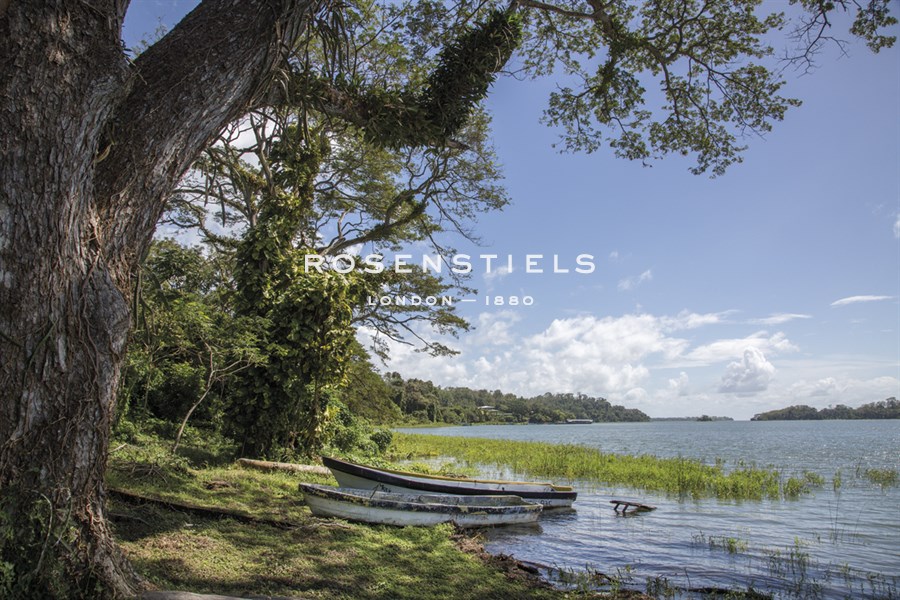 Sambo Creek - Andrew Geiger