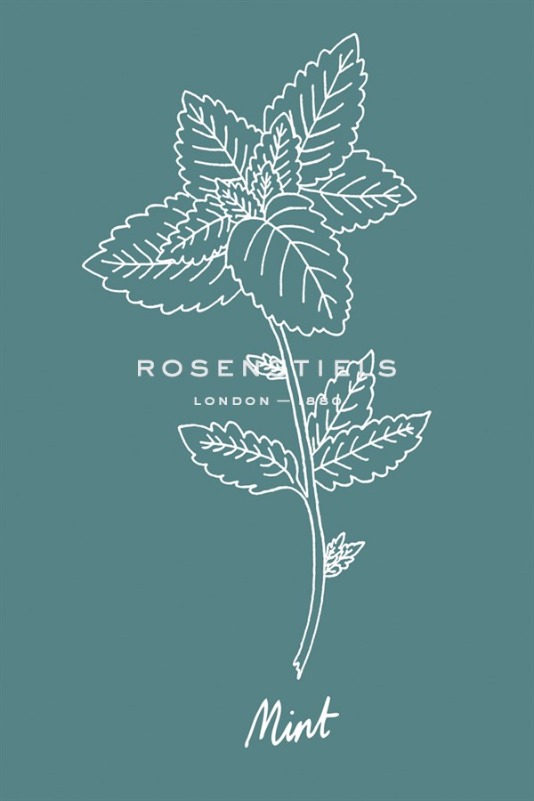 Simple Herb - Mint - Clara Wells