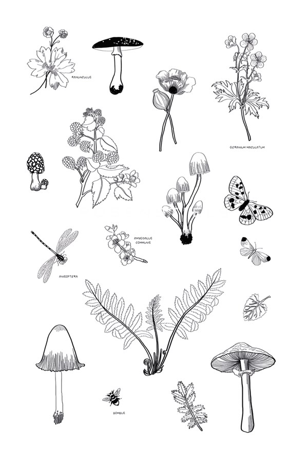Nature Gathering - Clara Wells
