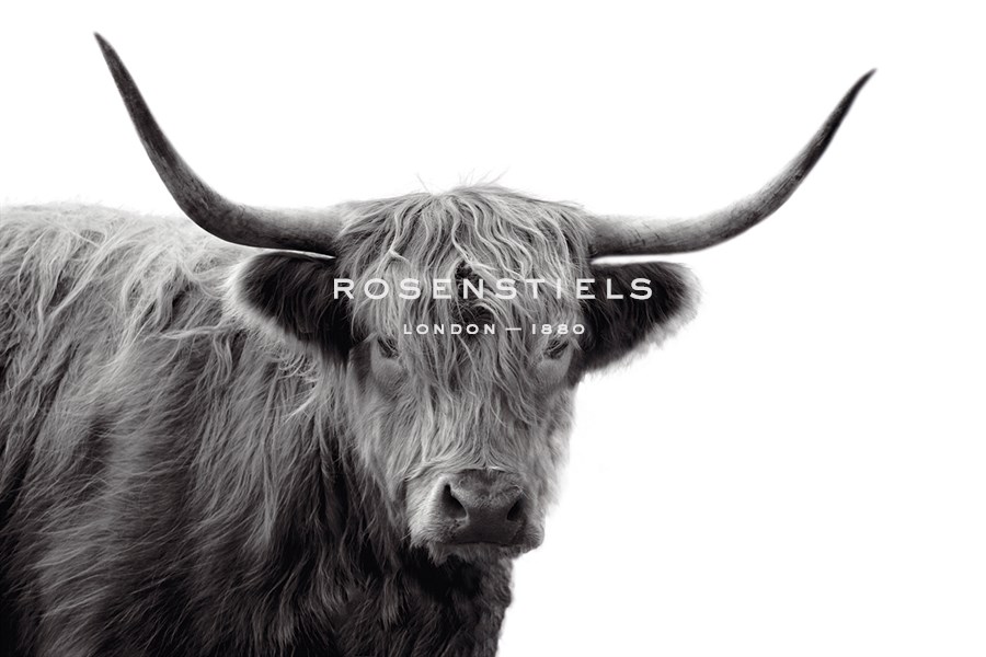 Highland Haze - Bill Philip