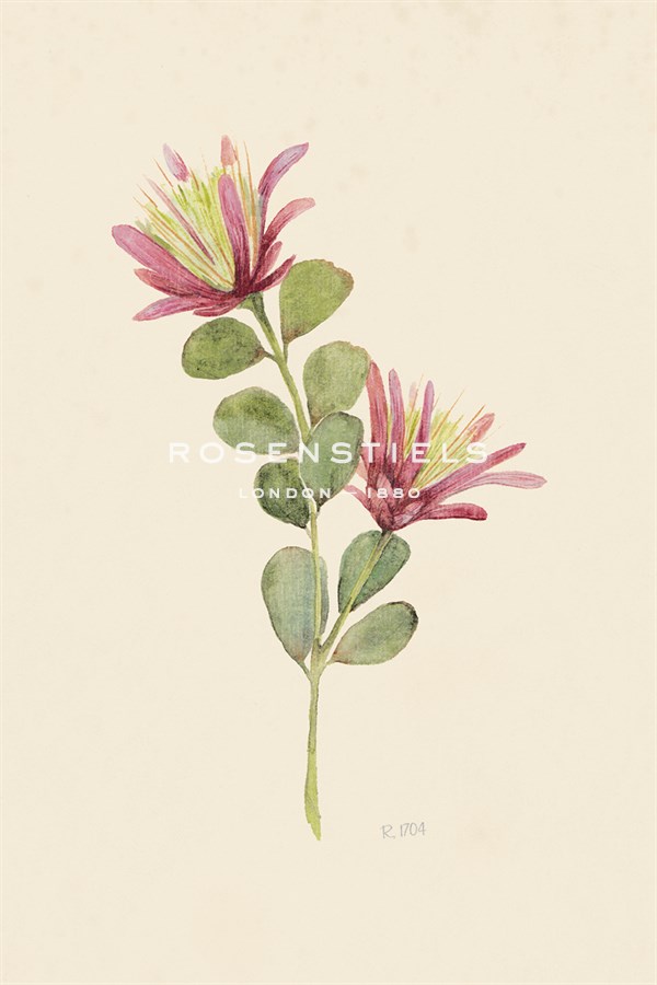 La Flor - Loft Studio