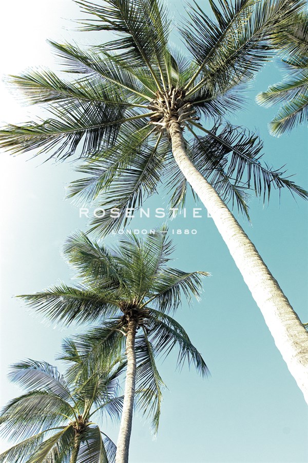 Cape Coral - Mike Toy