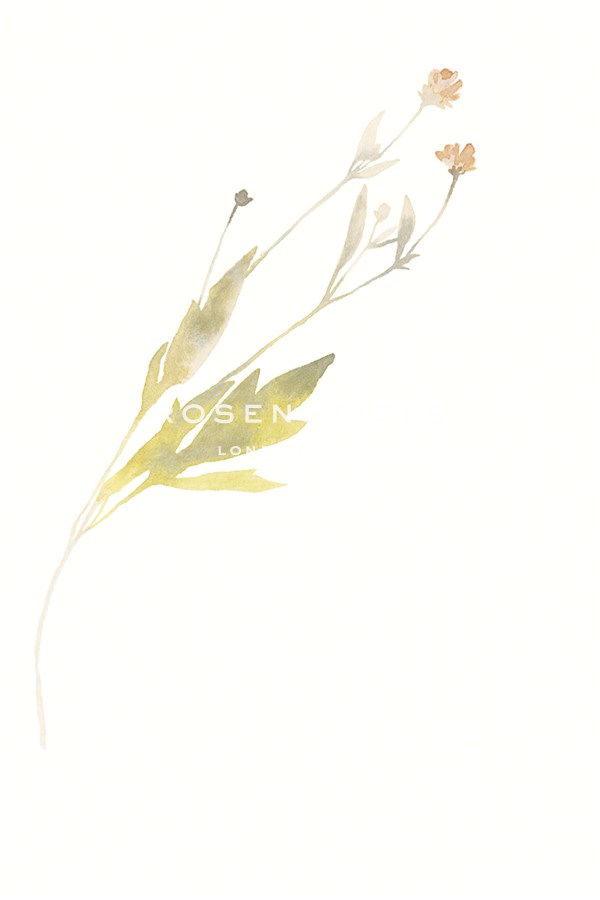 Flourish Swirl - Kristine Hegre