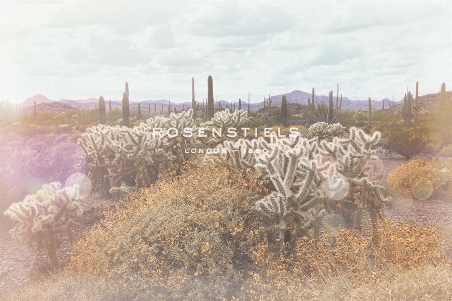 Garden of the Blessing - Soft - Michael Greene