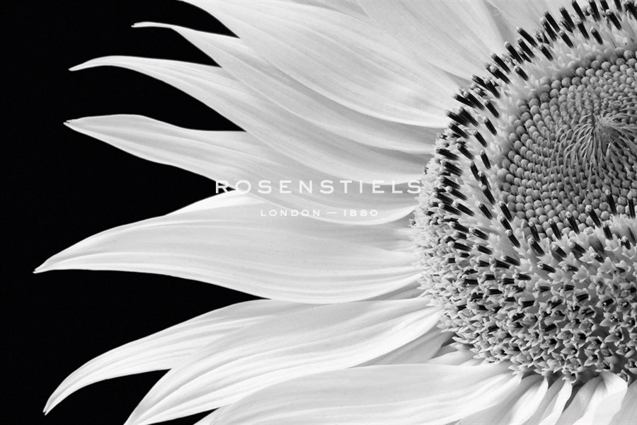 Dynamic Flower - Markus Lange