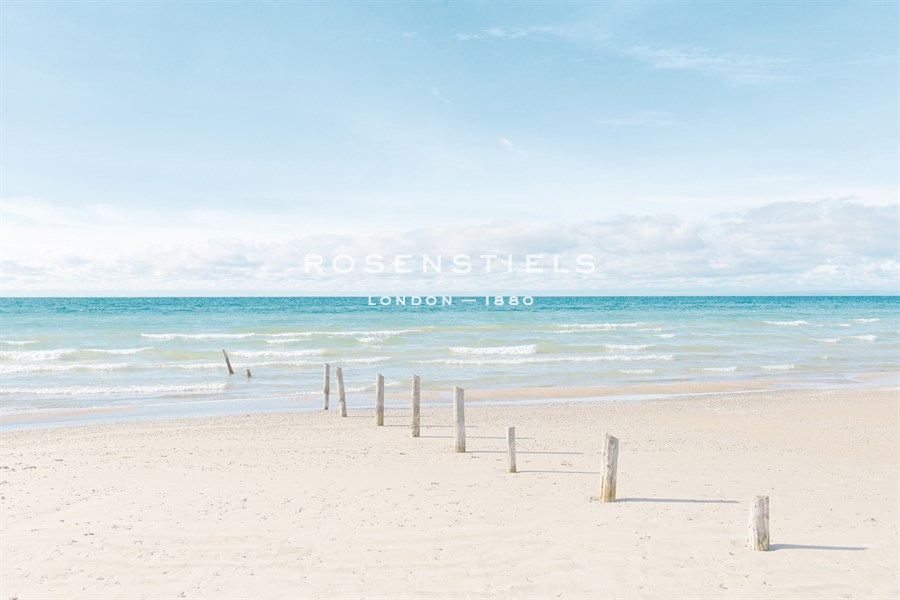 Ocean Pathway - Mike Toy