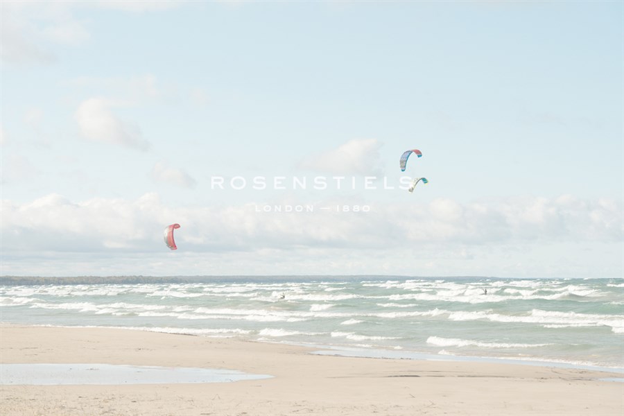 Afternoon Flight - Mike Toy
