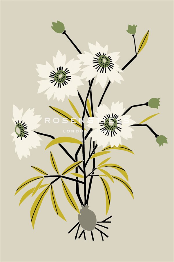 Simple Flora - White Flowers - Kristine Hegre