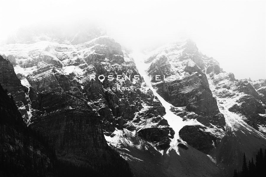 Summit - Irene Suchocki