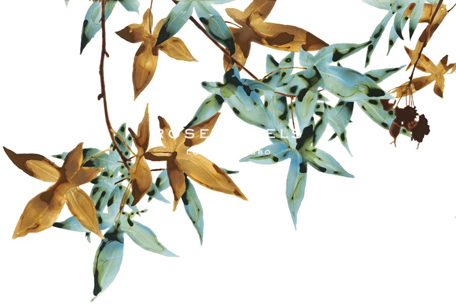Green and Umber Leaves - Jackie Battenfield