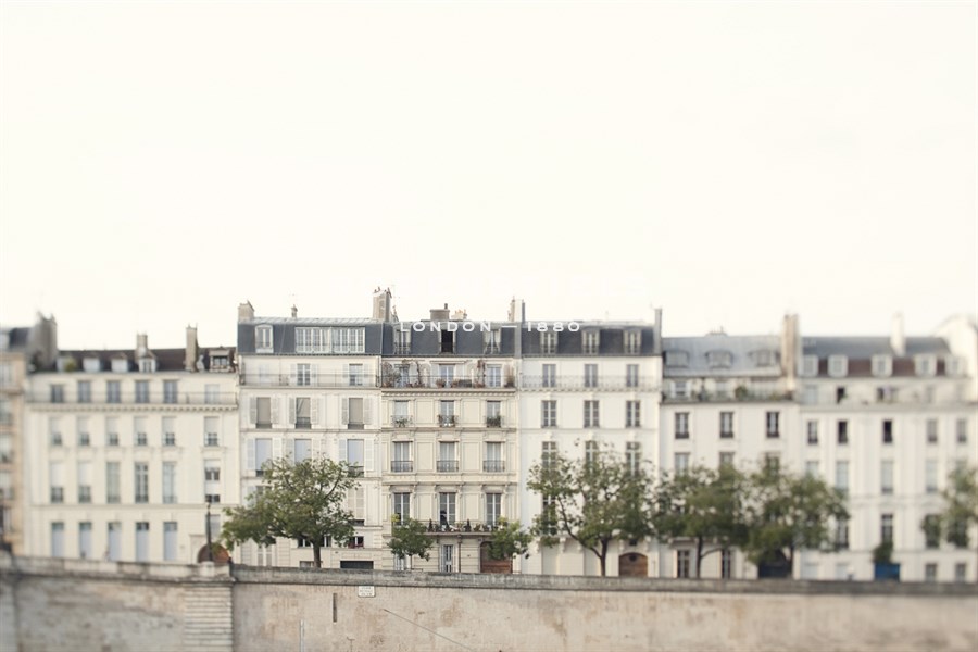 Amour de la Ville - Irene Suchocki