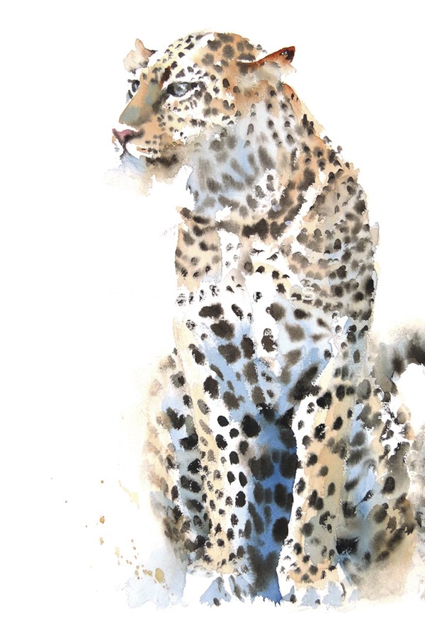 Watching Leopard - Hazel Soan