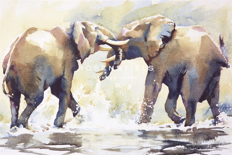 Water Fight - Hazel Soan