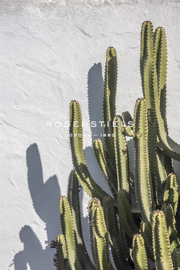 Estremoz - Alan Copson