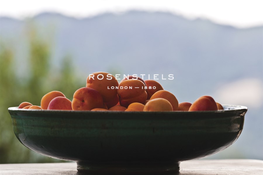 Bowl of Apricots - Gaetan Caron