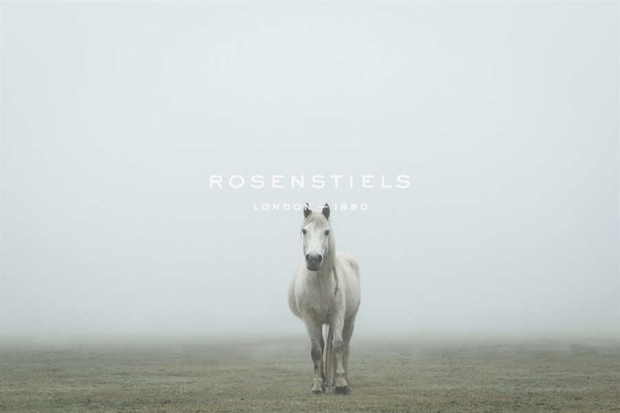 Astral - Matt Roseveare