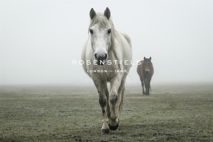 Astral Duo - Matt Roseveare