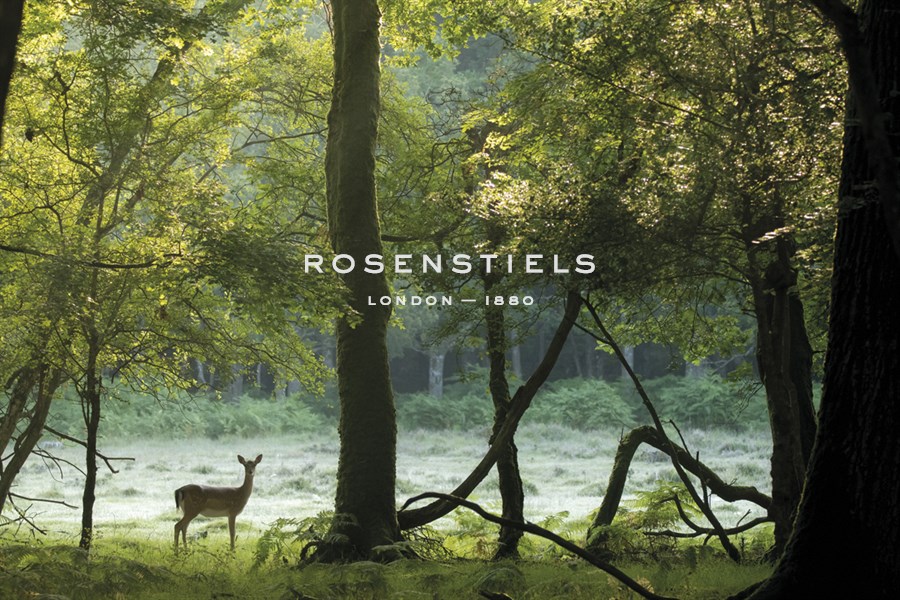 Summer Woodlands - Matt Roseveare