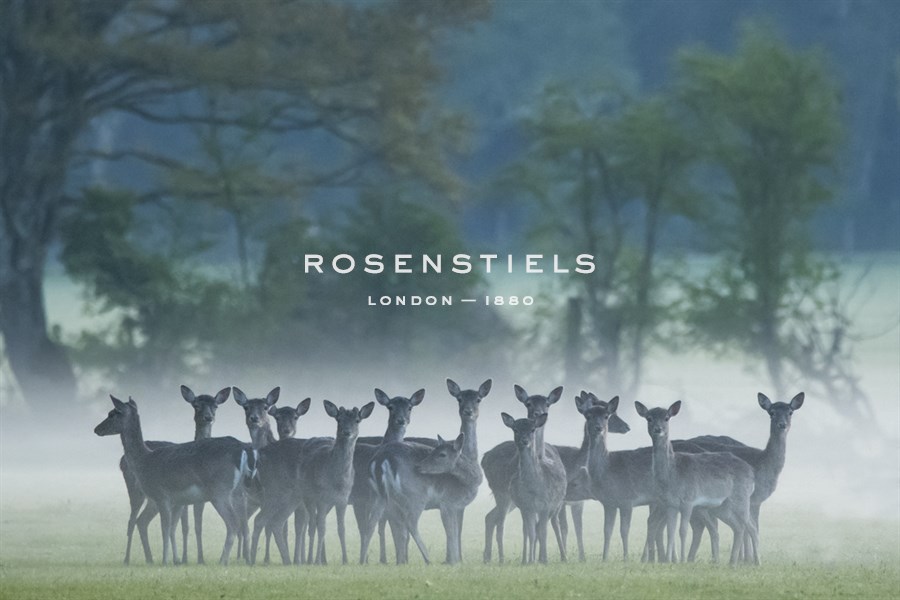Morning Herd - Matt Roseveare