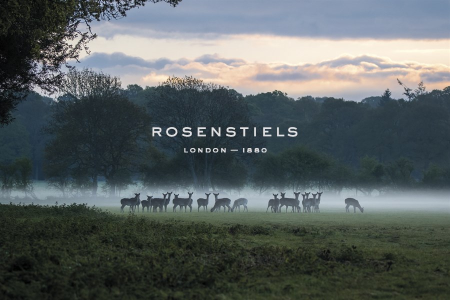 Blanket of Mist - Matt Roseveare