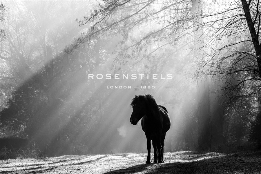 A Breath of Spring - Noir - Matt Roseveare