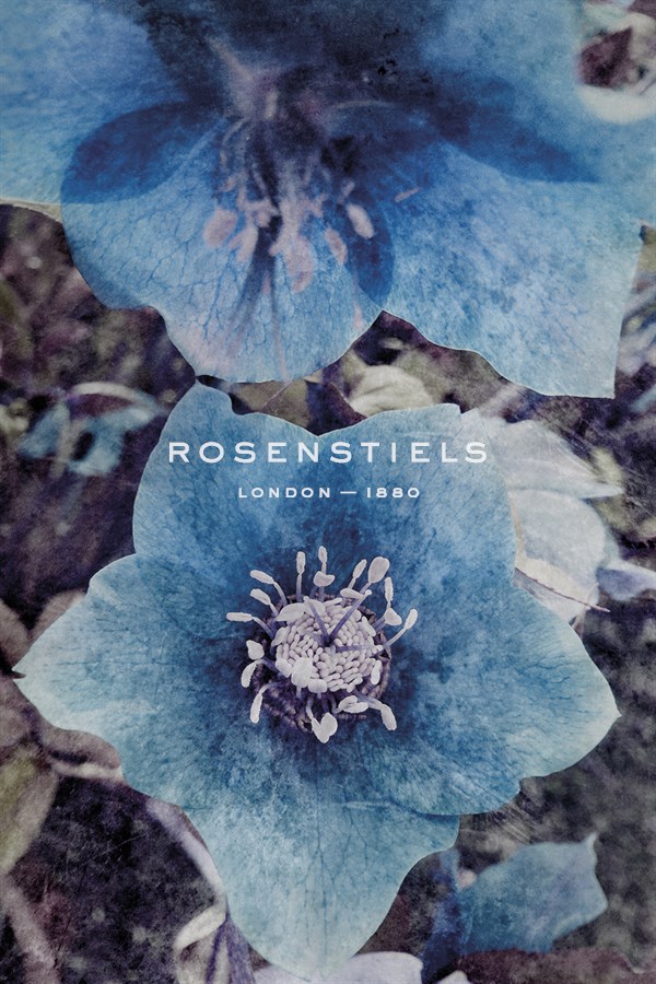 Floral Impress - Collezione Botanica