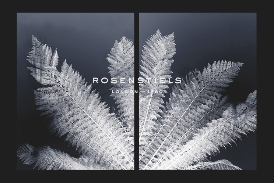 Tropical Palm - Ella Lancaster